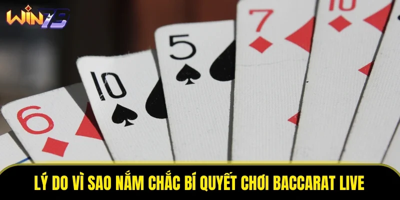 Lý do vì sao nắm chắc bí quyết chơi baccarat live Lý do vì sao nắm chắc bí quyết chơi baccarat live